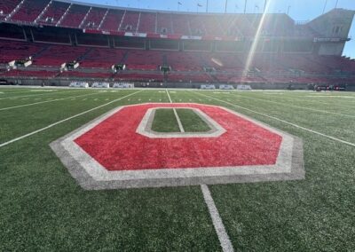 Midfield At The Horseshoe