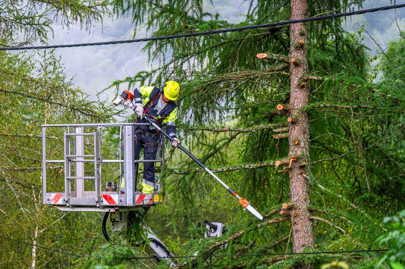 Tree Trimmer In Lift Boom Cutting Branches Away from Powerlines